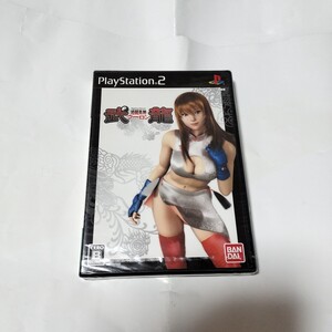 レア？未開封品【PS2】 格闘美神 武龍