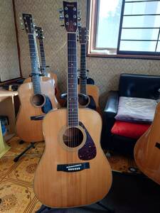 ★YAMAHA　FG-251★