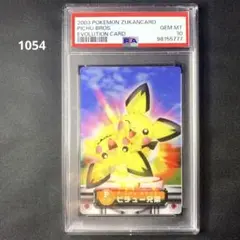 【PSA10】ポケモン　ずかんカード　ピチュー兄弟　エボリューション