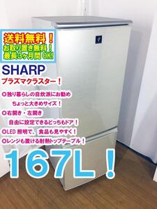 送料無料★極上超美品 中古★SHARP 167L 除菌・消臭!! 高濃度プラズマクラスター7000「どっちもヒンジ」冷蔵庫【SJ-PD17T-N】EBFW