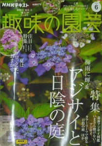 完全新品　NHKテキスト趣味の園芸 2024年 06 月号