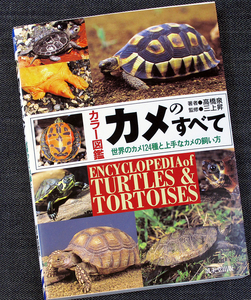 ★美品在庫1即納★カメのすべて─カラー図鑑｜世界の亀124種 上手な飼い方 飼育 生息分布 歴史 伝説 伝統工芸 べっ甲細工 博物誌 雑学#s