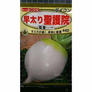 ３袋セット 早太り 聖護院 大根 聖喜 種 郵便は送料無料 だいこん