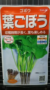 ３袋セット 葉 ごぼう 葉ごぼう 牛蒡 種 郵便は送料無料