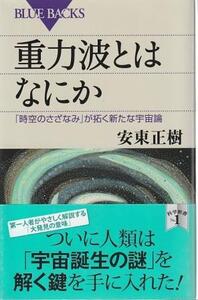 （古本）重力波とはなにか 「時空のさざなみ」が拓く新たな宇宙論 安東正樹 講談社 KB1983 20160914発行