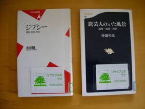 同傾向のテーマ、ジプシーと旅芸人に関する新書２冊一括#図書館廃棄本（リサイクル本）