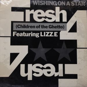 12inchレコード　FRESH 4 / WISHING ON A STAR