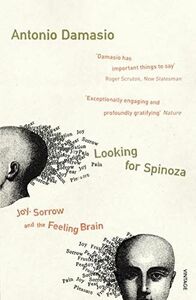 [A12216296]Looking For Spinoza: Joy Sorrow and the Feeling Brain