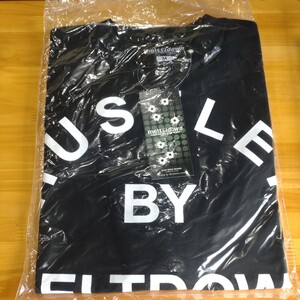 melt Ω down メルト ダウン ブラックロゴ M Tシャツ 出品検索→ GAMSB MD