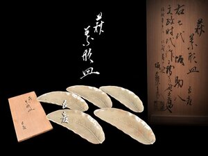 【雲】某名家買取品 七代 坂助八作 江戸期 萩 葉形皿 5客 坂高麗左衛門箱書 古美術品(懐石料理道具)AY1869 OTbskn