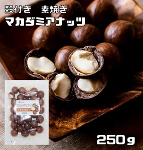 マカダミアナッツ 殻付き 素焼き 250ｇ 世界美食探究 ナッツ 希少 殻 ベトナム産 加工 おつまみ おやつ 無塩 無油 マカデミアナッツ