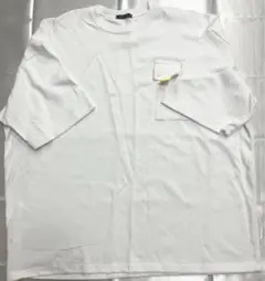 BIG Tシャツ きれいめ