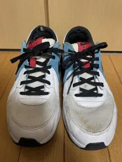 NIKE エア マックス エクシー CD4165-108