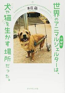 [A12348761]世界のアニマルシェルターは、 犬や猫を生かす場所だった。