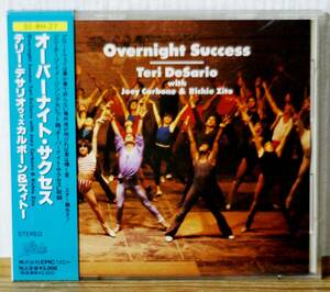 希少！箱帯♪テリー・デサリオ/オーバーナイト・サクセス★CSR刻印あり 純正ケース★ソニーCMソング★TERI DESARIO★ディスコ AOR