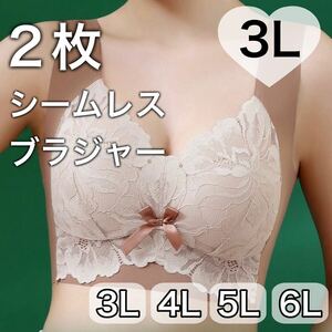 2枚 セット ノンワイヤー シームレス ブラジャー ブラウン　茶色 レース 大きいサイズ 3L 4XL ナイトブラ 夜用ブラ B80 C80 D80