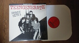 TEENGENERATE / SMASH HITS！　レコード盤 LP