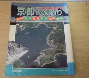 空から見たポイント　京都の海釣り