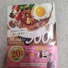 今日のごはん、これに決まり!Mizukiのレシピノート決定版!500品