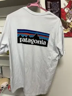 patagonia Tシャツ Mサイズ