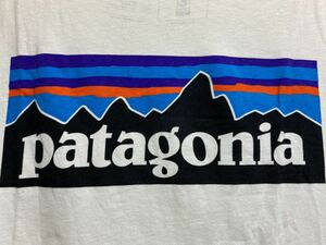 送料格安スピード発送！良品★PatagoniaパタゴニアオーガニックコットンＴシャツ★XSサイズサーフィン登山トレランマラソントレッキング