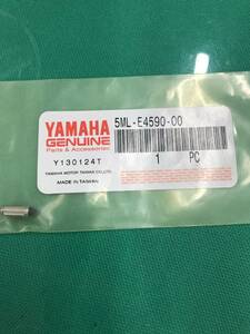 S0110 YAMHA ニードルバルブアセンブリ　品番5ML-E4590 純正