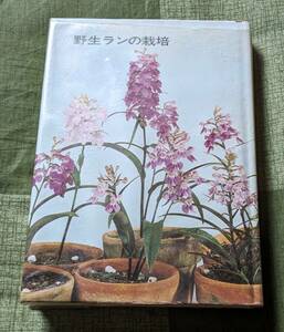 誠文堂　野生ランの栽培　鈴木吉五郎　第一版　昭和５２年１０月１０日　中古本