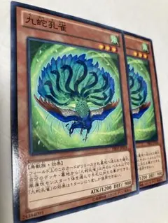 遊戯王 九蛇孔雀