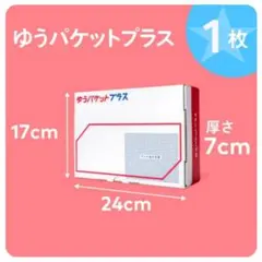 30-2-9【1枚】ゆうパケットプラス 専用箱