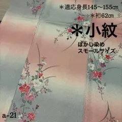 ＊a-21 スモールサイズ 色味の良い ぼかし染め　小紋　正絹　広衿　袷　着物