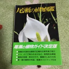 植物 本 「尾瀬の植物図鑑」