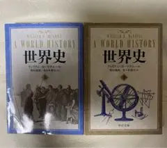 2冊セット❗️マクニール　世界史　上下巻