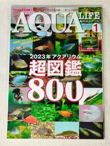 アクアライフ　AQUA LIFE　2023年1月号　No.522　2023年アクアリウム超図鑑800