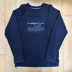 patagonia パタゴニア プリントロゴスウェット L ブラック