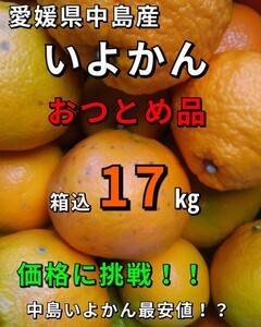 発送込！！ 愛媛県中島産いよかんおつとめ品箱込17kg④