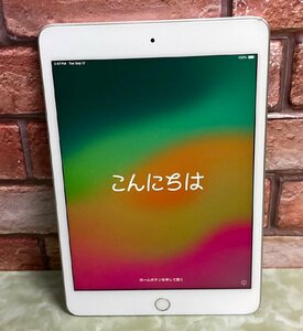 1円～ ●Apple iPad mini 第5世代 / Wi-Fi + Cellular / 256GB / シルバー / iOS 17.5.1 / 7.9型 (2048x1536) / バッテリー84% / MUXD2J/A