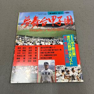 ホームラン 8月号◎1993年8月15日発行◎夢舞台甲子園◎高校野球◎プロ野球選手◎松山商◎PL学園◎帝京◎投手