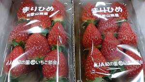 和歌山県産 まりひめ いちご 2L以上 秀品 2パック (約500g)