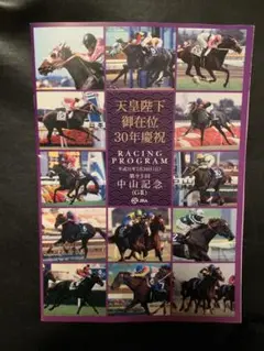 天皇陛下 御在位30年慶祝 第93回 G2 中山記念 レープロ