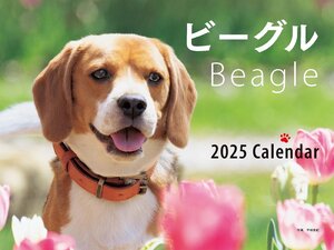 2025年カレンダー ワイド判 ビーグル (誠文堂新光社カレンダー)