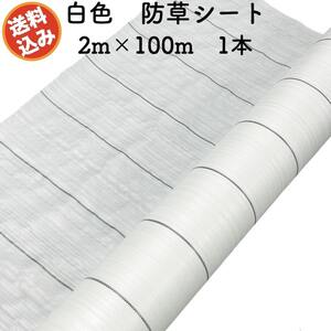 防草シート 白色（サンホワイト） 2m×100m 1本 抗菌剤 UV剤入り 反射 除草シート 雑草対策 太陽光 野菜 畑 農業