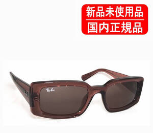 RB4395F 667873 54-21 KILIANE キリアン BIO-BASED 国内正規品 新品未使用 Ray-Ban レイバン 正規保証書付き