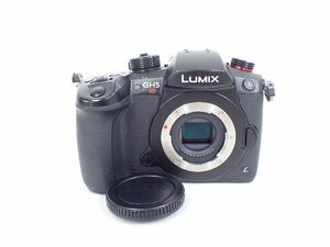 Panasonic パナソニック LUMIX DC-GH5S ミラーレス一眼カメラ ボディ ∴ 7065A-1