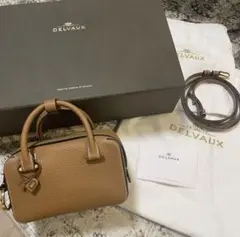 DELVAUX デルヴォー　クールボックス　ナノ