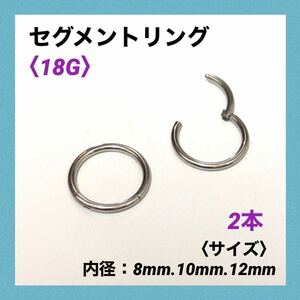 2本　セグメントリング　18G内径12mm ボディピアス