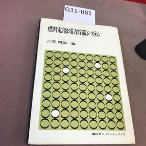 G11-081 燃料電池と電力貯蔵システム 吉澤四郎 講談社 汚れ有り