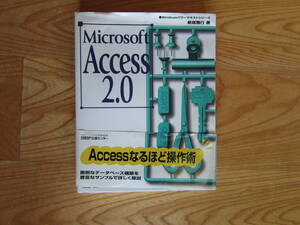 Microsoft　Access2.0　日経BP出版センター