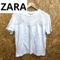 Z241221-51 ZARA Tシャツ　S