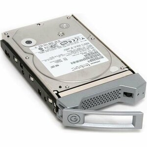 G-Technology G-SPEED eS用スペア HDD 750GB (921103-01/GSP-eS 35/750GB DM) (日立 HDT721075SLA360)