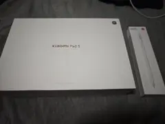 中古 美品 Xiaomi Pad 5 スタイラスペン付き